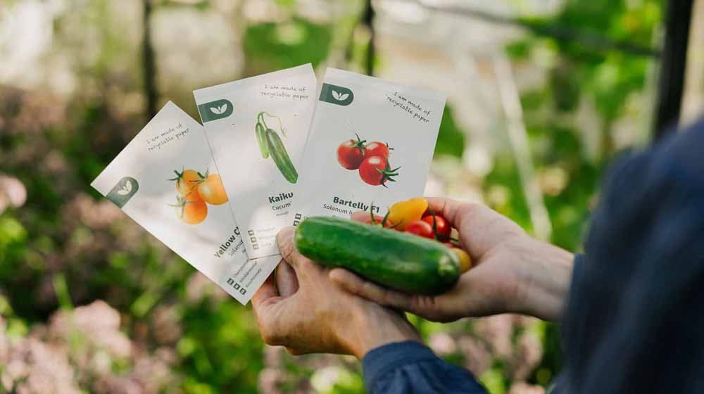 Zalia Stotele | Tomate Prune Noire Graines | Graines De Légumes | Tomate Graines | Graines De