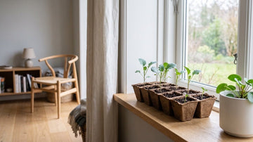 Broccoli voorzaaien - Blomea.nl