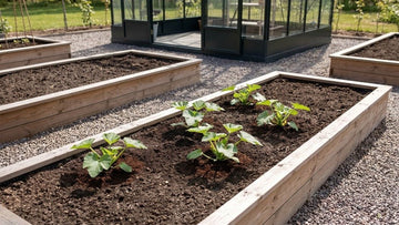 Courgette bemesten - Blomea.nl