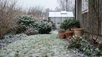 Tuin in januari - Blomea.nl