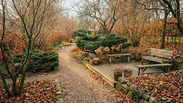 Tuin in november - Blomea.nl