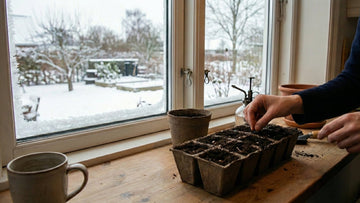Voorzaaien in februari - Blomea.nl
