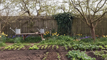 Wat zaaien in april - Blomea.nl