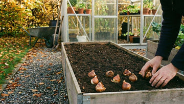 Wat zaaien in oktober - Blomea.nl