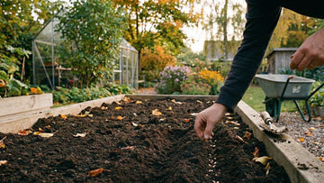 Wat zaaien in september - Blomea.nl