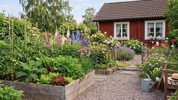 Zomer in de tuin - Blomea.nl