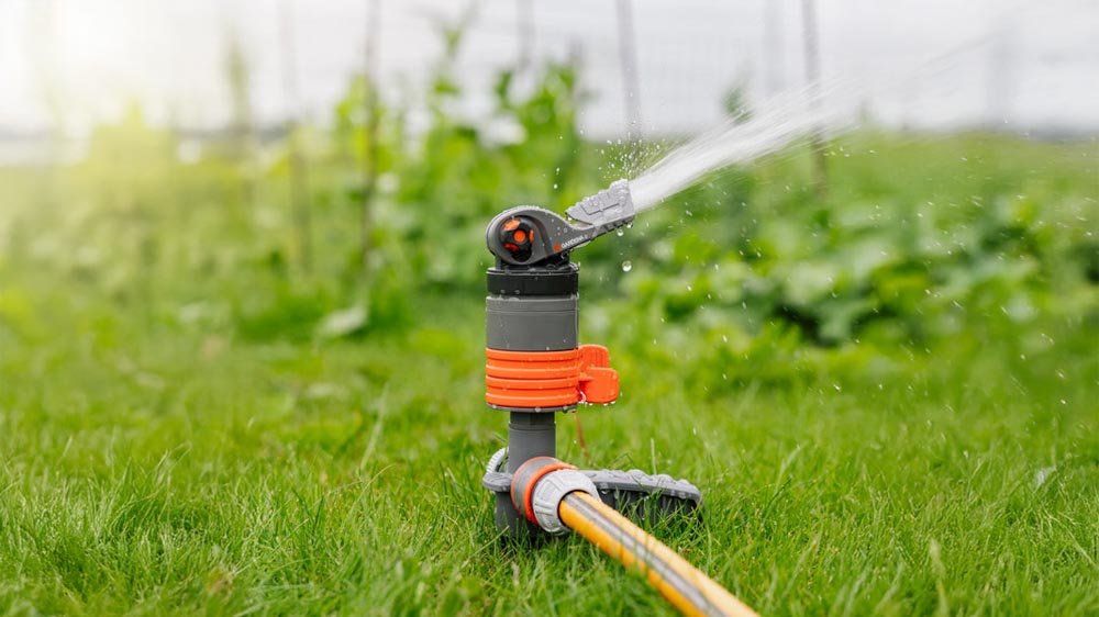 Besproeiing - Blomea.nl