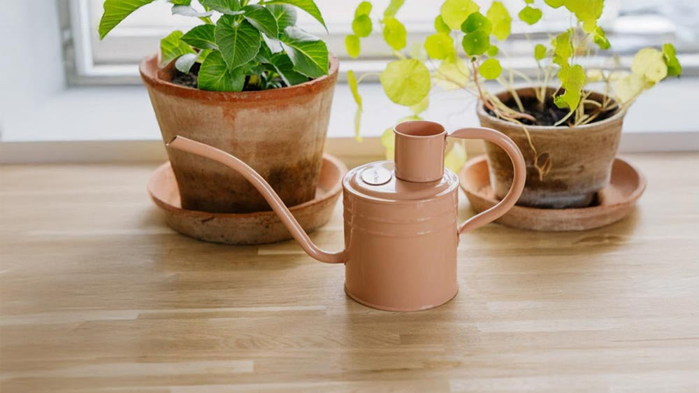 Binnengieter - Blomea.nl