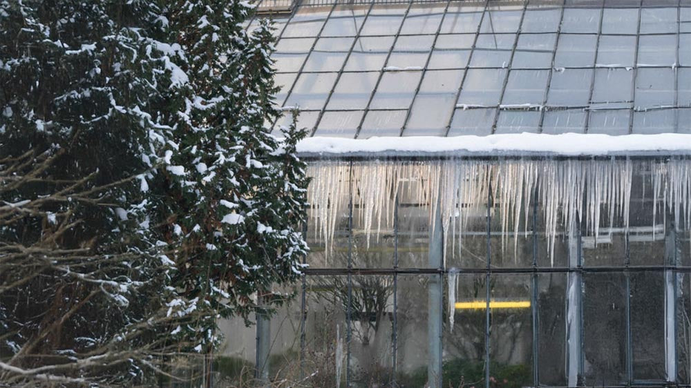 Buiten het seizoen - Blomea.nl