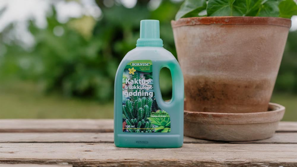 Cactusmeststof - Blomea.nl