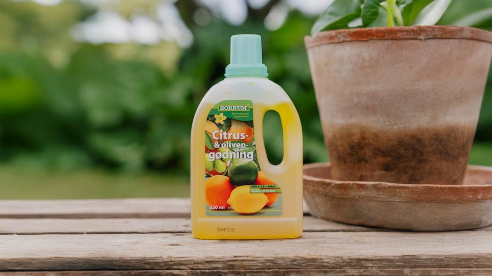 Citrusmeststof - Blomea.nl