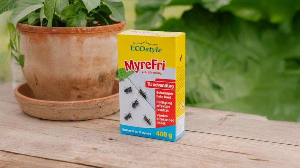 ECOstyle - Blomea.nl