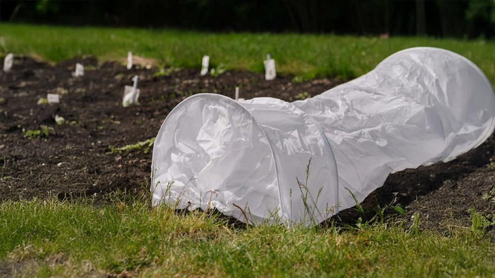 Groeitunnel - Blomea.nl