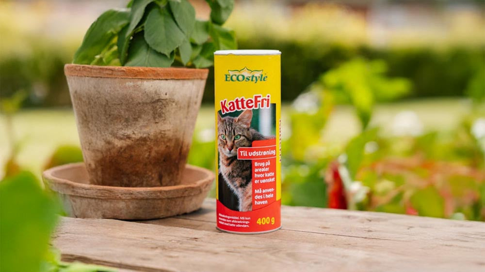 Kattenvrij - Blomea.nl