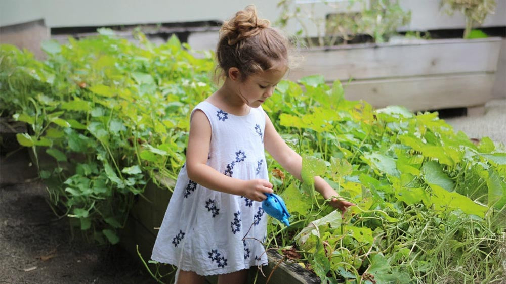 Kinderen in de tuin - Blomea.nl