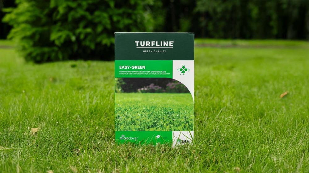 Microklaver - Blomea.nl