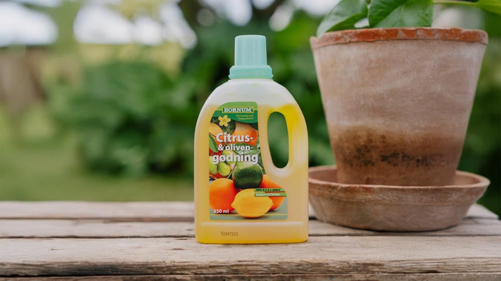 Olijfmeststof - Blomea.nl