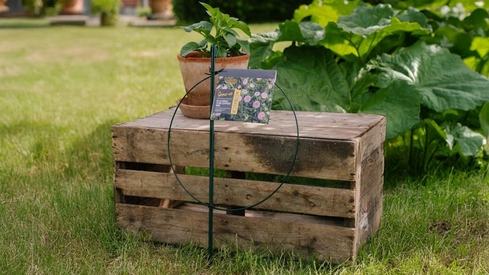 Plantensteunen - Blomea.nl