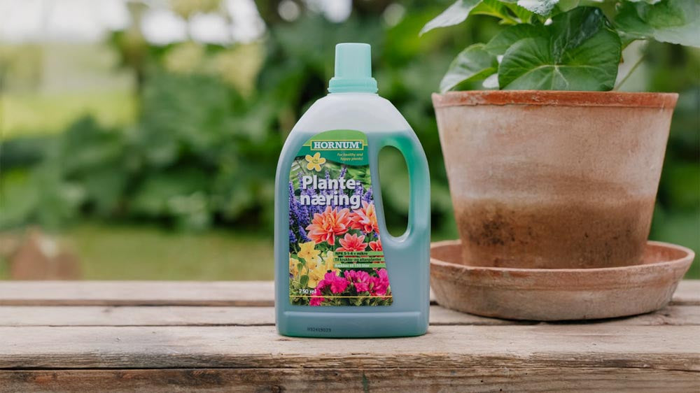 Plantenvoeding - Blomea.nl