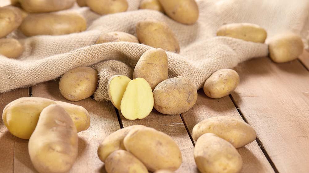 Pootaardappelen - Blomea.nl