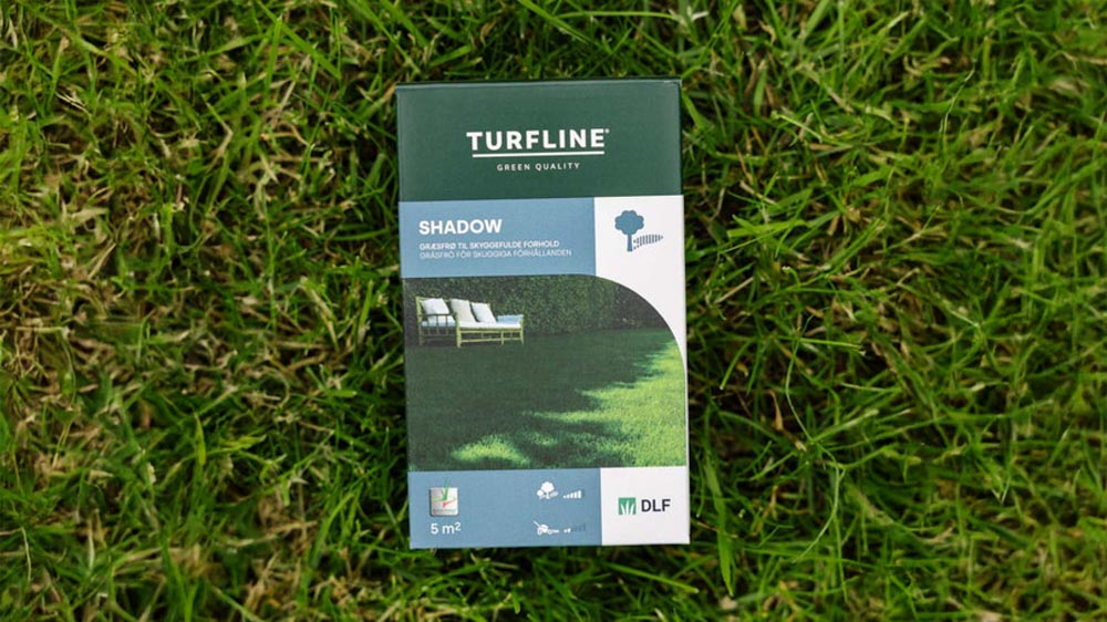 Schaduwgras - Blomea.nl