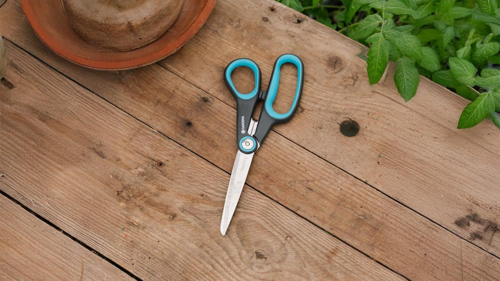 Snoeischaar - Blomea.nl