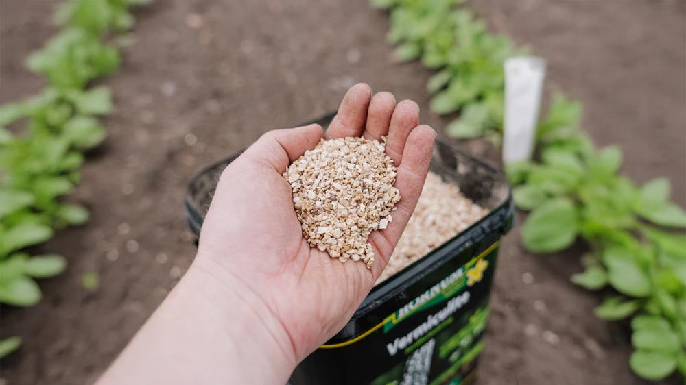 Vermiculiet - Blomea.nl