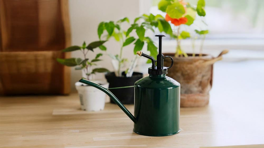 Verstuiver - Blomea.nl