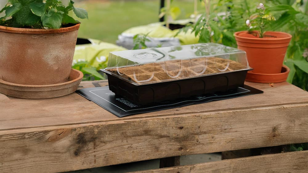 Verwarmingsmatten - Blomea.nl