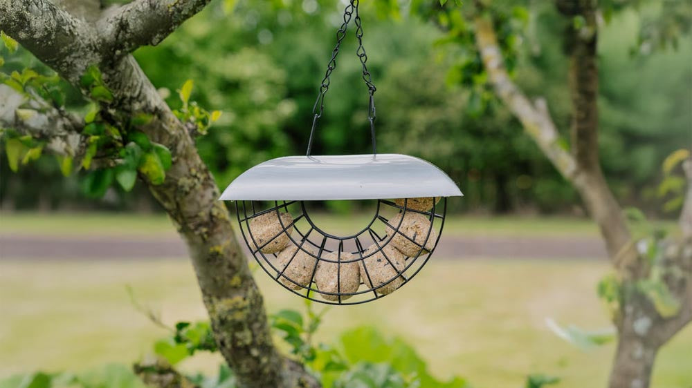 Voederautomaten - Blomea.nl