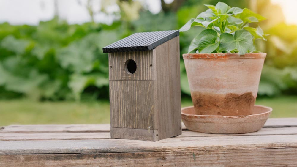 Vogelhuisjes - Blomea.nl