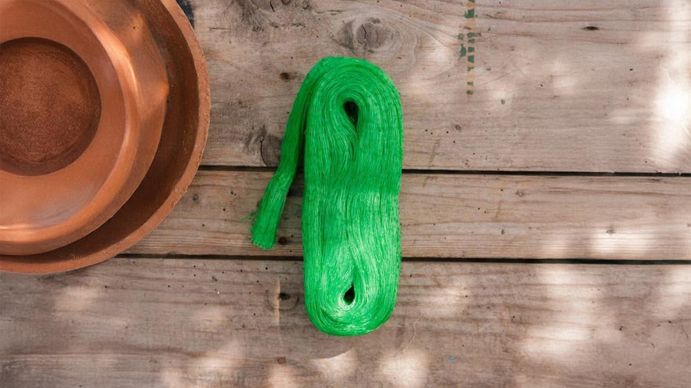 Vogelnet - Blomea.nl