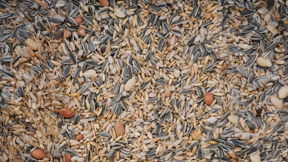 Vogelvoer - Blomea.nl