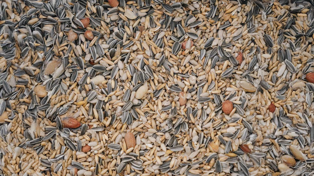 Vogelzaad - Blomea.nl