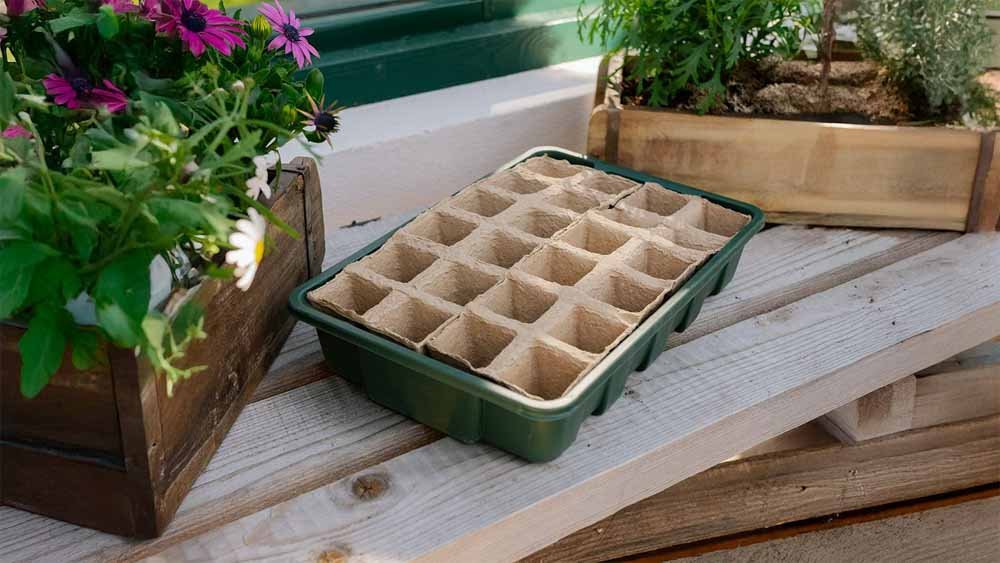 Voorzaaien - Blomea.nl