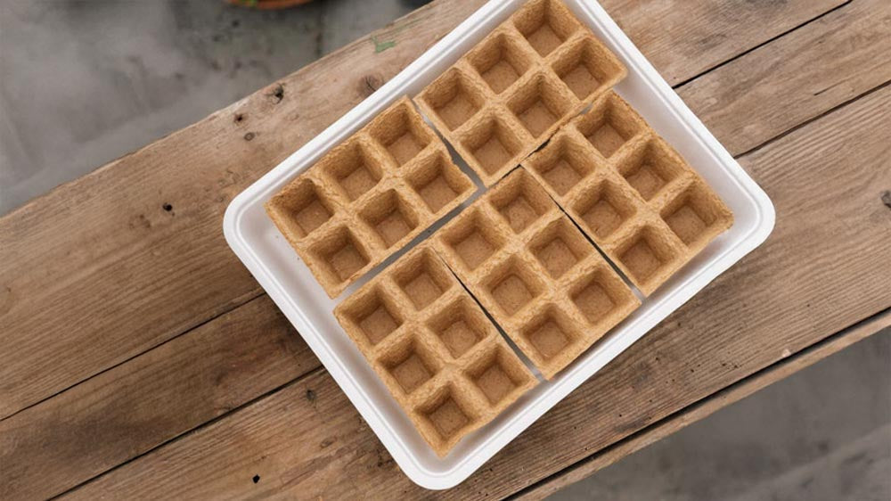 Zaaitray - Blomea.nl