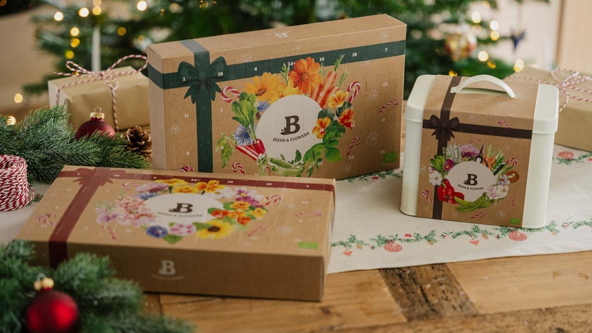 Zaden adventskalender - Blomea.nl