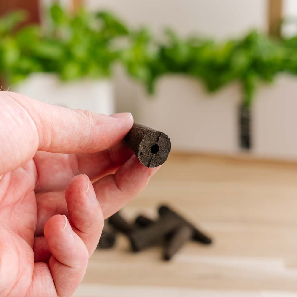 10x Plantenpaddenstoelen voor binnenkeukentuinen