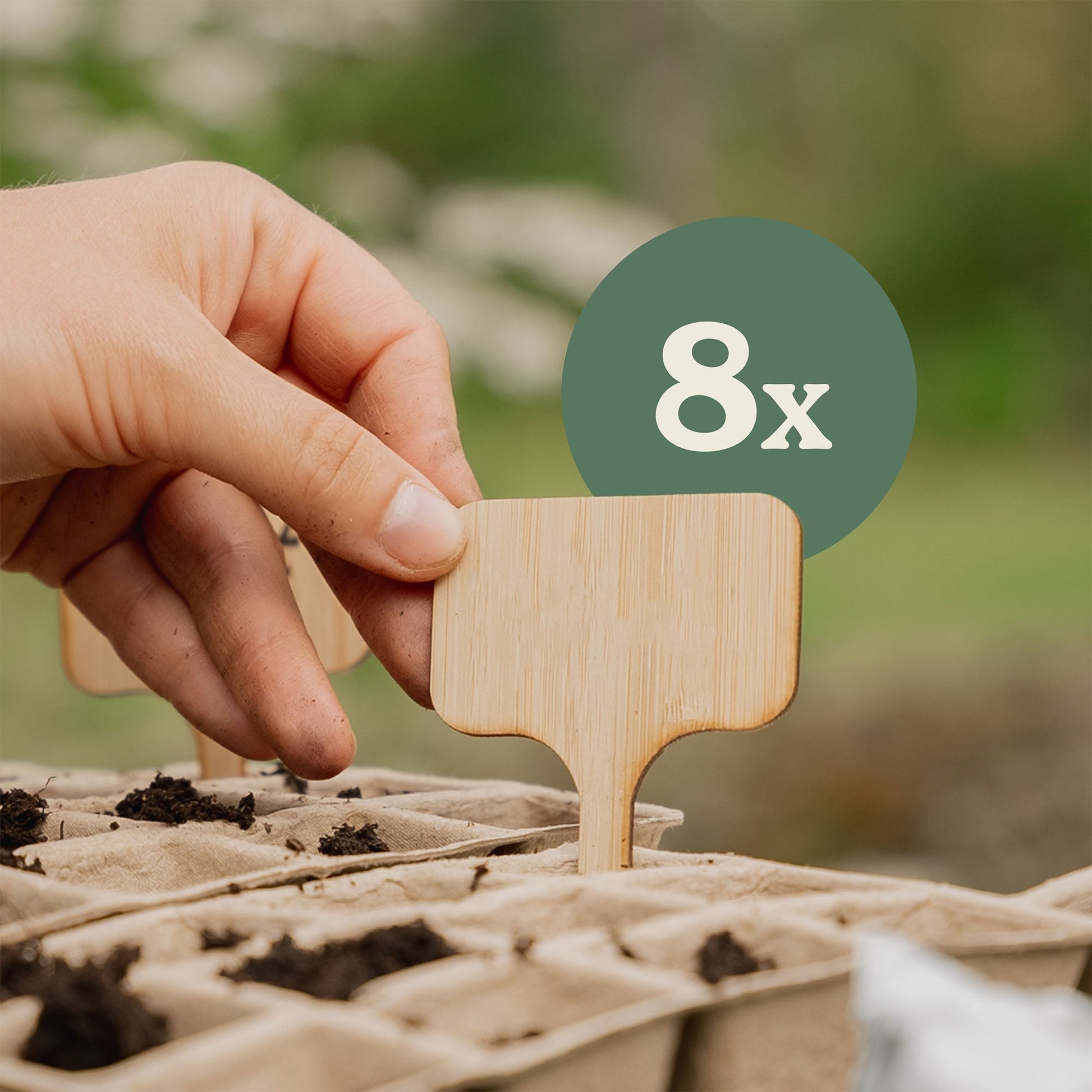 8 stuks bamboe plantenstekers