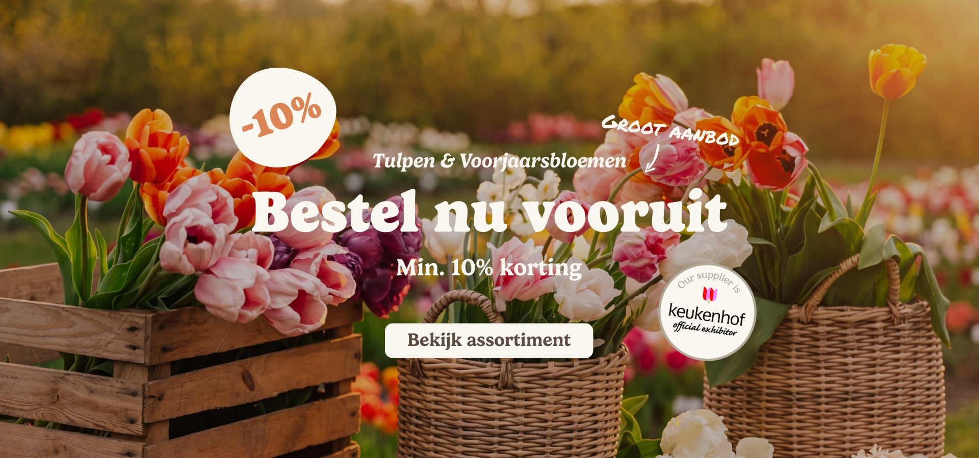 slider image slider_item_MrTPAq