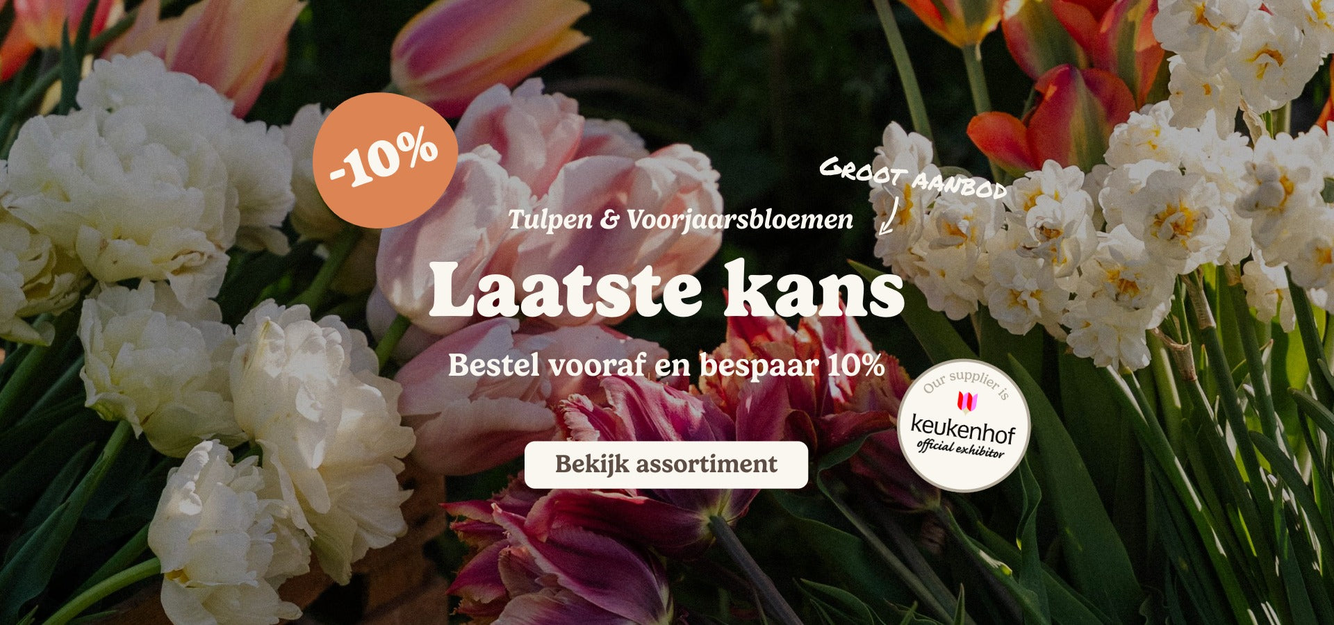 slider image slider_item_MrTPAq