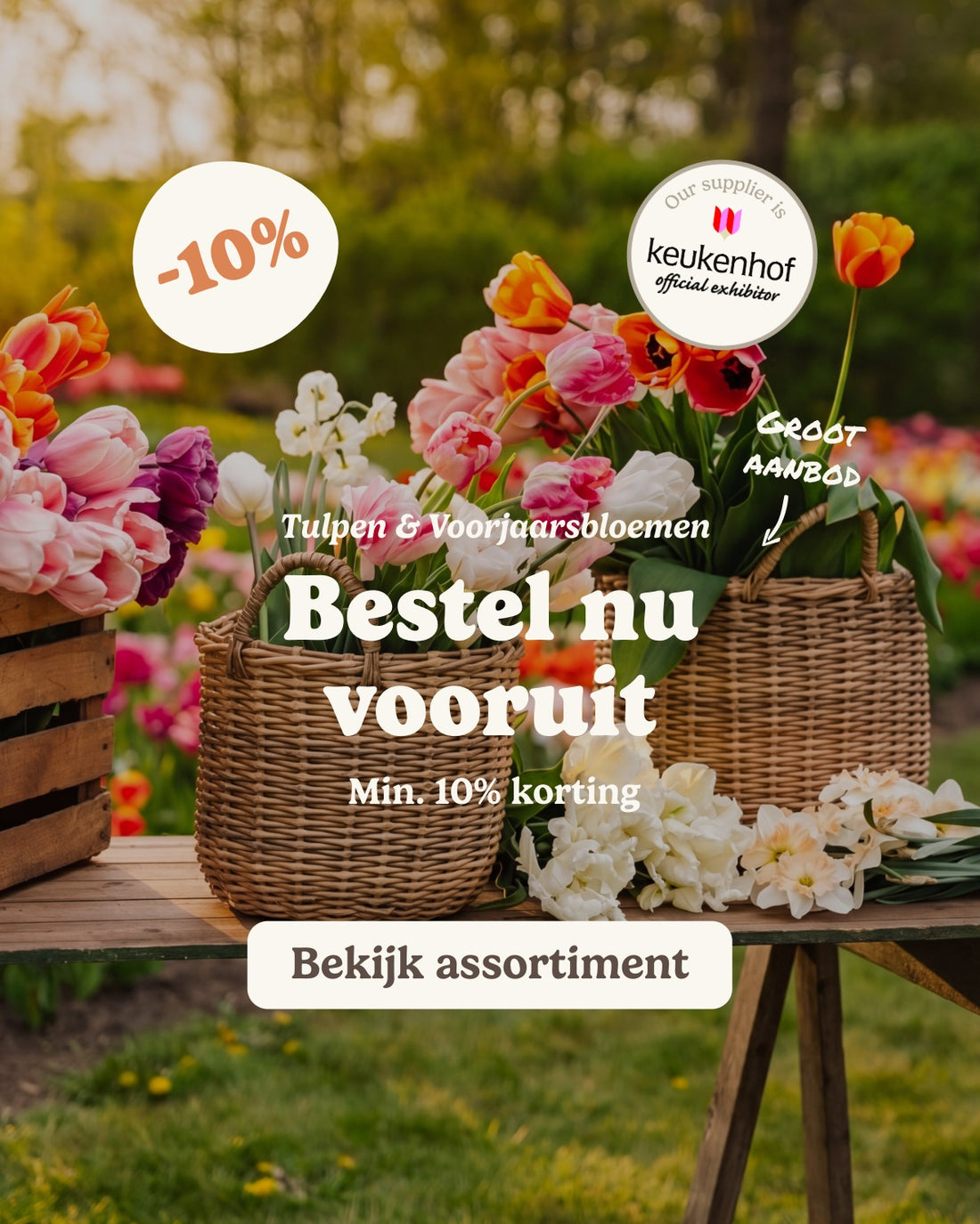slider image slider_item_MrTPAq