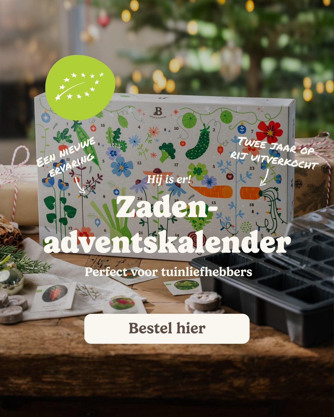 slider image slider_item_j6HeEe