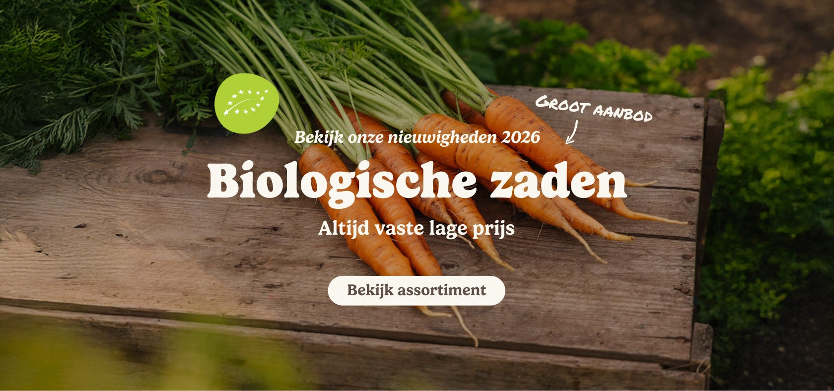 slider image slider_item_qw8NdD