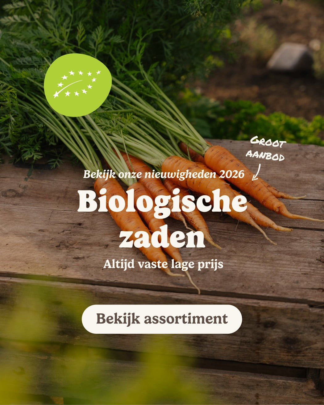 slider image slider_item_qw8NdD