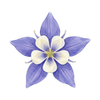 Bloemzaden