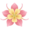Akelei wortelgoed / Aquilegia