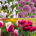 Bloembollenlasagne 'Spring Sorbet'