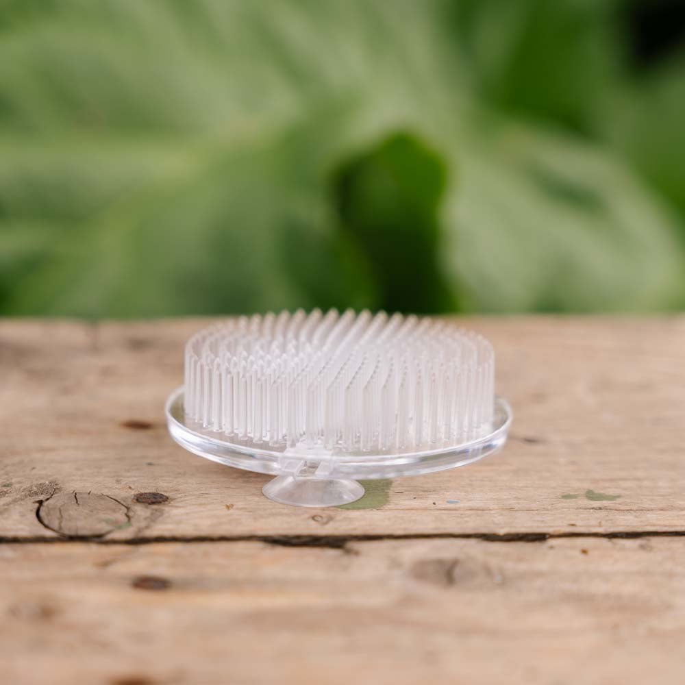 Bloemenhouder, wit (plastic), Ø: 6,9 cm