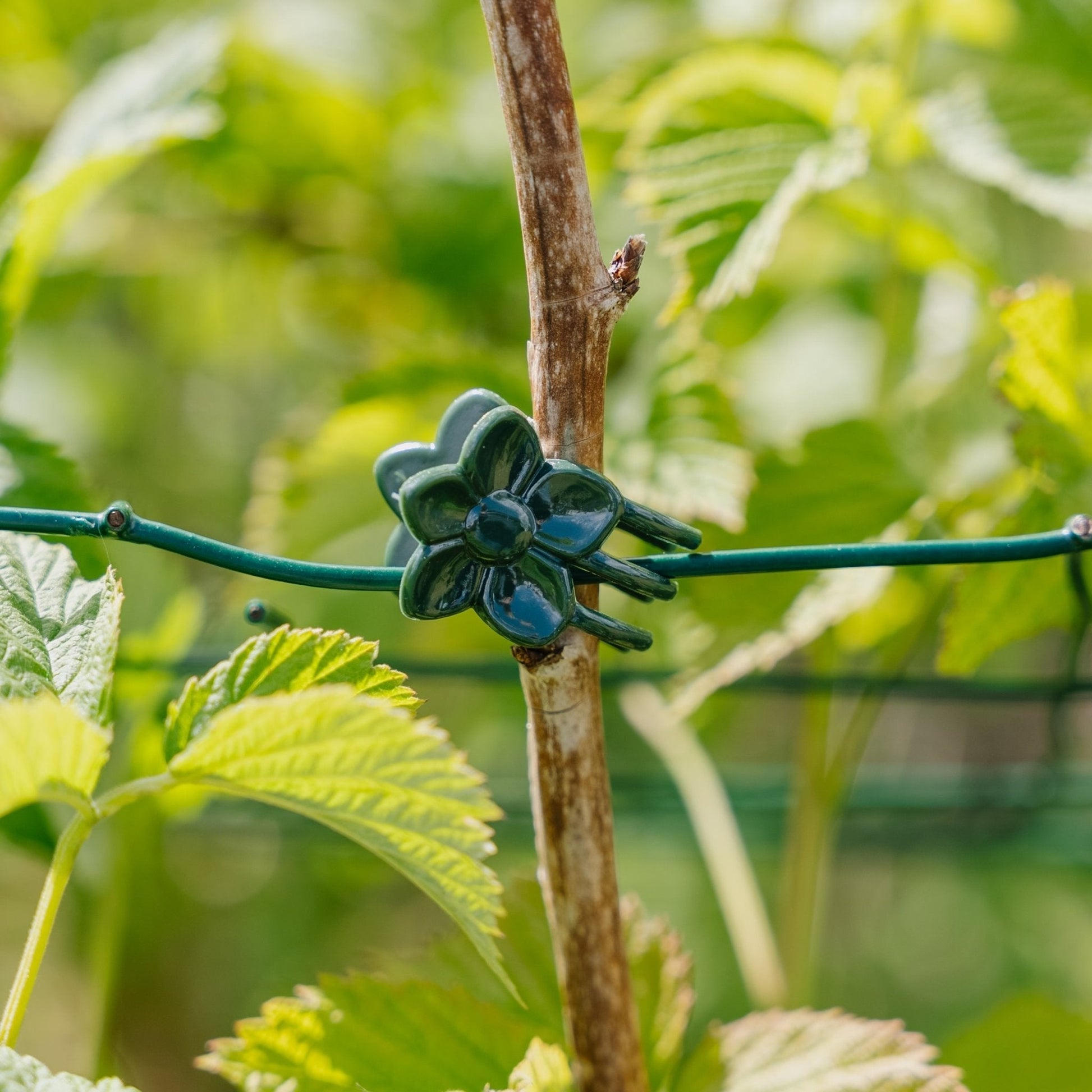 Bloemenklemmen, 10 stuks.